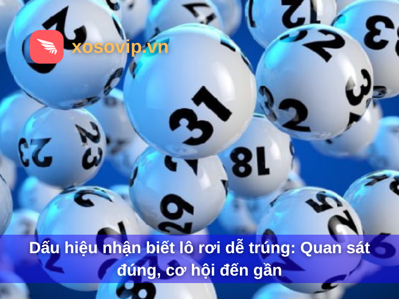 Dấu hiệu nhận biết lô rơi dễ trúng: Quan sát đúng, cơ hội đến gần