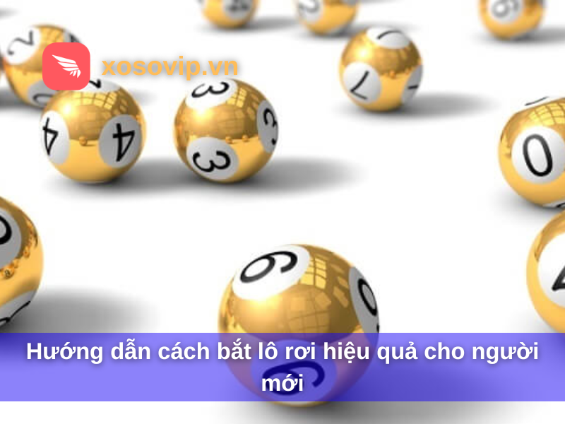 Hướng dẫn cách bắt lô rơi hiệu quả cho người mới