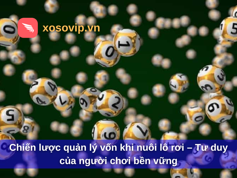 Chiến lược quản lý vốn khi nuôi lô rơi – Tư duy của người chơi bền vững