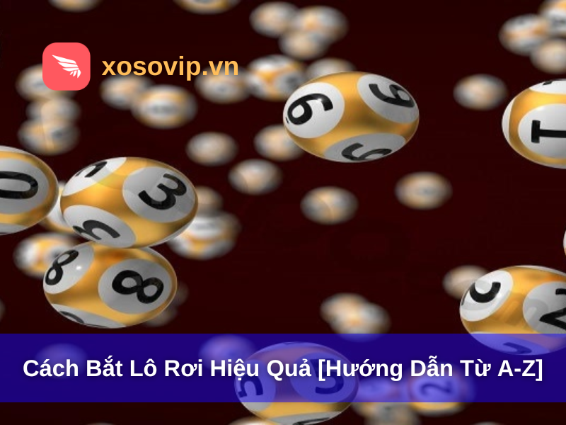Cách Bắt Lô Rơi Hiệu Quả [Hướng Dẫn Từ A-Z]