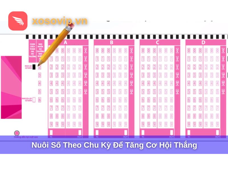Nuôi số theo chu kỳ để tăng cơ hội trúng