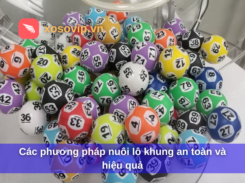 Các phương pháp nuôi lô khung an toàn và hiệu quả