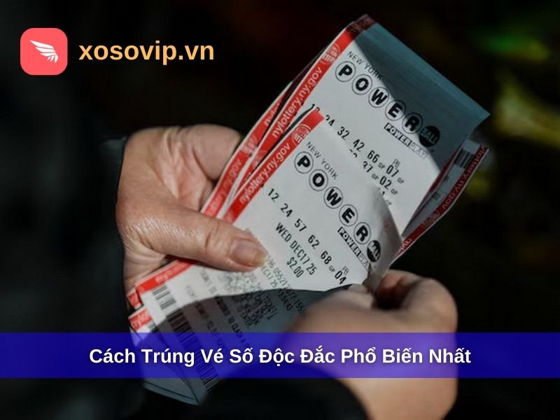Cách Trúng Vé Số Độc Đắc: Sự Thật, Xác Suất & Kinh Nghiệm Thực Tế