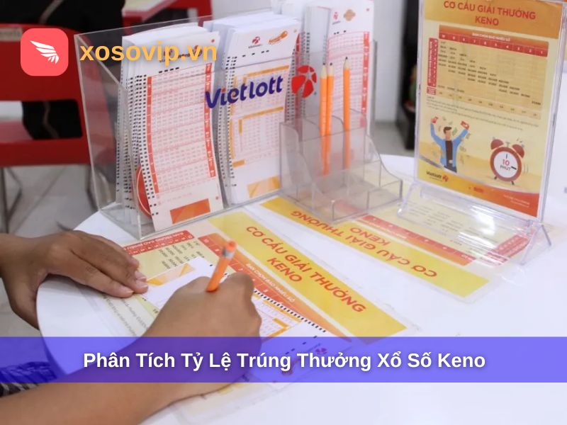 Phân tích tỷ lệ trúng và bậc thưởng nổi bật