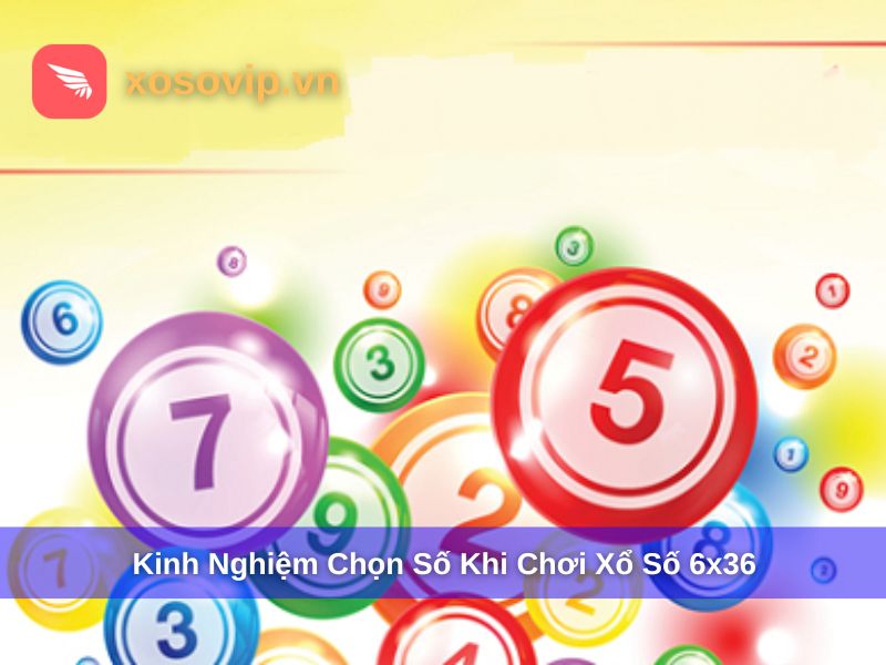 Kinh nghiệm chơi xổ số điện toán 6x36