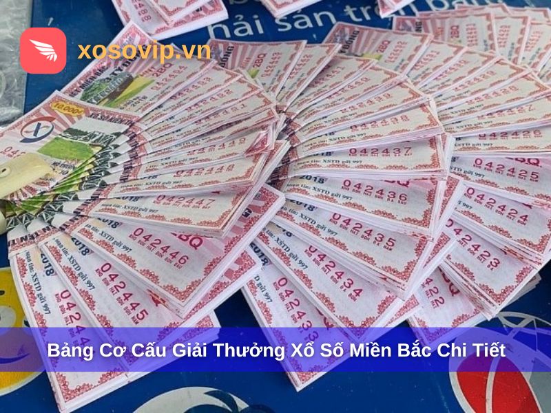 Cơ Cấu Giải Thưởng Xổ Số Miền Bắc: Bảng Chi Tiết Giá Trị Từng Giải 2025
