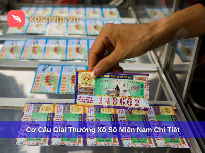 Cơ Cấu Giải Thưởng Xổ Số Miền Nam - Thông Tin Đầy Đủ Cho Người Chơi