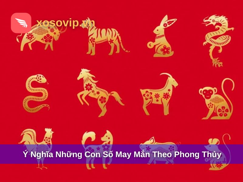 Tổng Hợp 12 Con Số May Mắn Theo Từng Tuổi Trong Phong Thủy