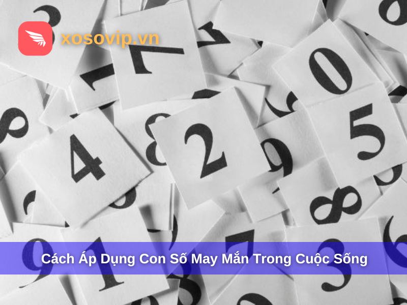 Cách áp dụng con số may mắn trong cuộc sống