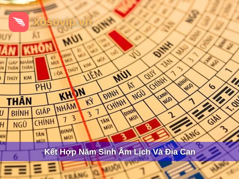Kết hợp năm sinh âm lịch và thiên can