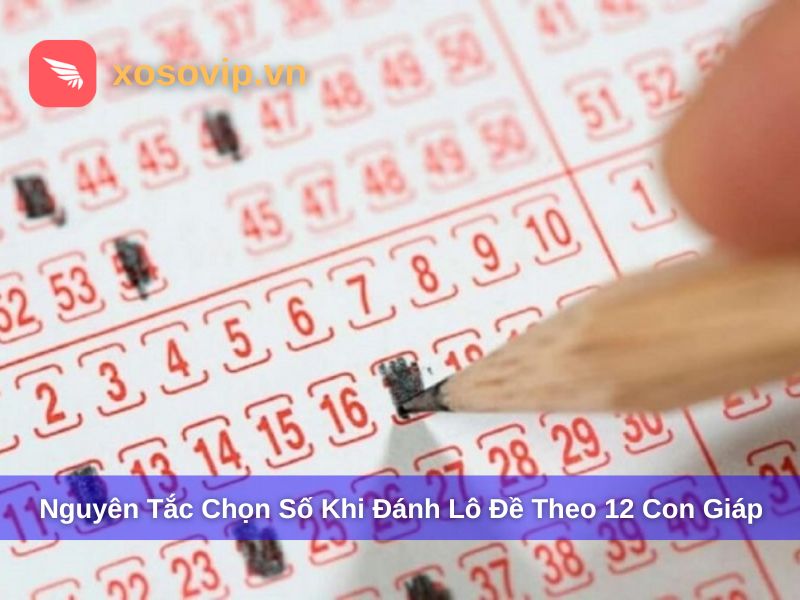 Nguy&ecirc;n tắc chọn số khi đ&aacute;nh l&ocirc; đề theo 12 con gi&aacute;p