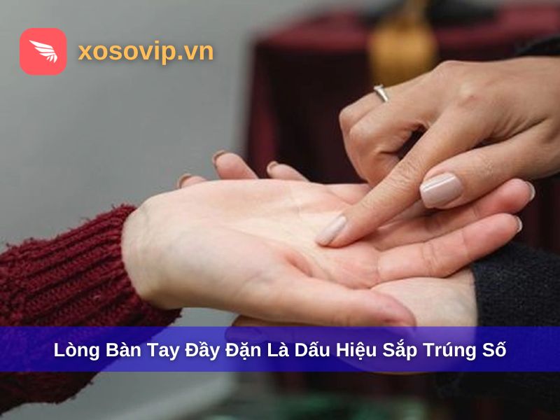 Bàn tay đầy đặn, có tính đàn hồi