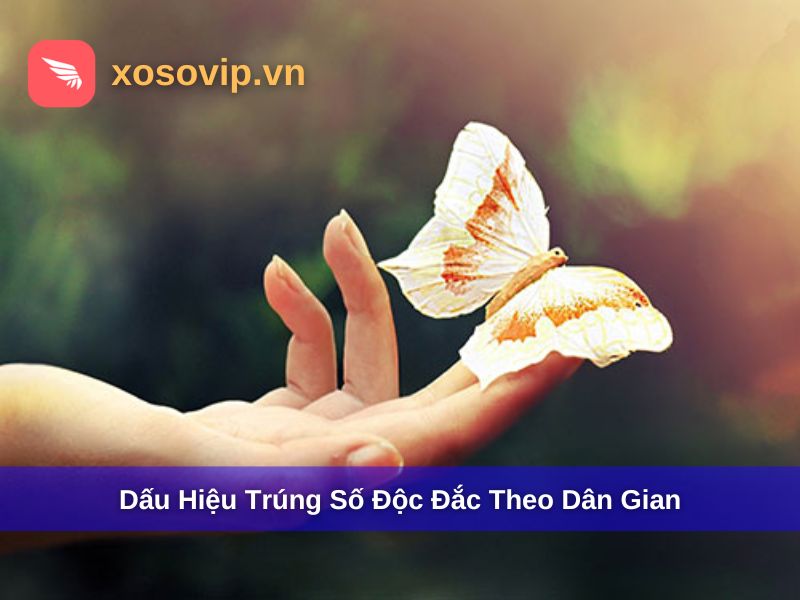 Bật Mí 4 Dấu Hiệu Trúng Số Độc Đắc Từ Dân Gian Việt