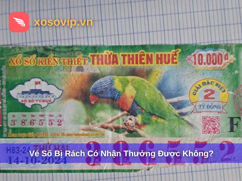 Giải đáp vé số bị rách có lĩnh thưởng được không?