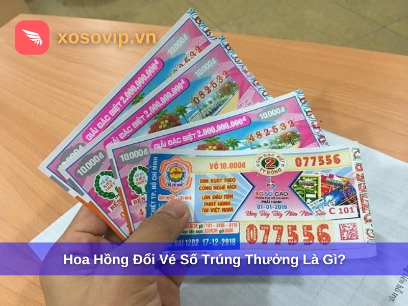Hoa hồng đổi vé số trúng thưởng
