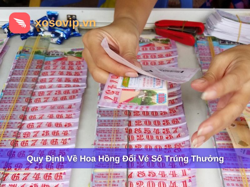 Quy định pháp luật liên quan đến hoa hồng đổi vé số