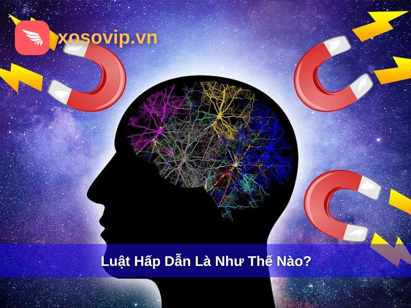 Như thế nào là luật hấp dẫn?