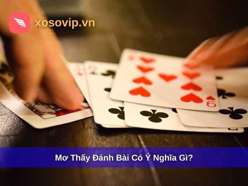 Mơ thấy đánh bài có ý nghĩa gì?