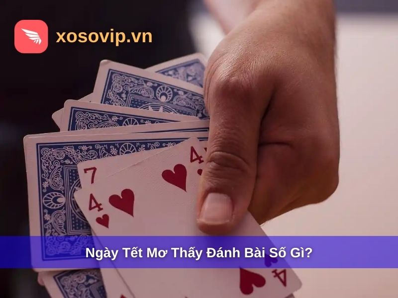 Ngày tết mơ thấy đánh bài số gì?