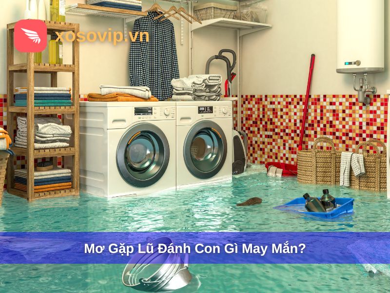 Mơ Gặp Lũ Đánh Con Gì? Giải Mã Chi Tiết Giấc Mơ Lũ Lụt