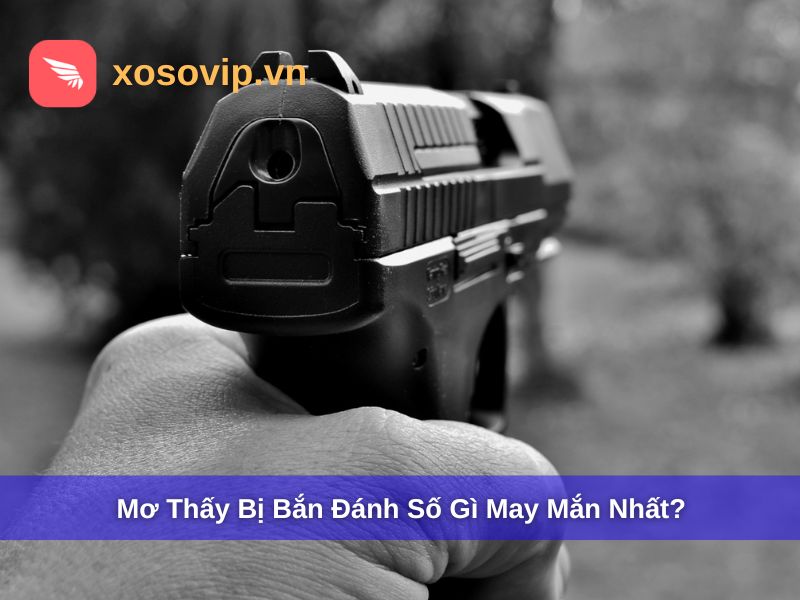 Mơ Thấy Bị Bắn Đánh Số Gì? Giải Mã Giấc Mơ Chuẩn Xosovip 2025