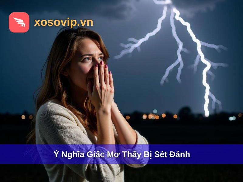 &Yacute; nghĩa giấc mơ thấy s&eacute;t đ&aacute;nh