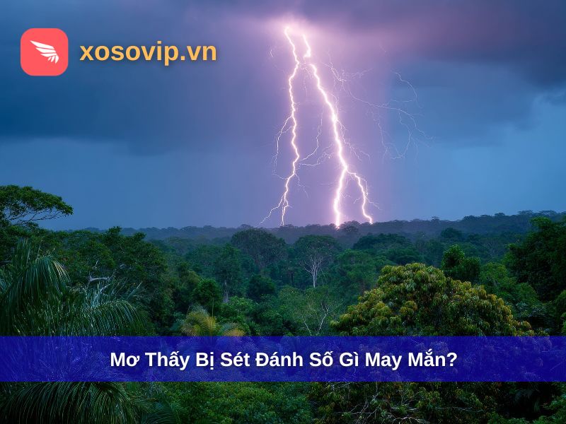 Mơ Thấy Bị Sét Đánh Số Gì - Giải Mã Giấc Mơ & Số May Mắn