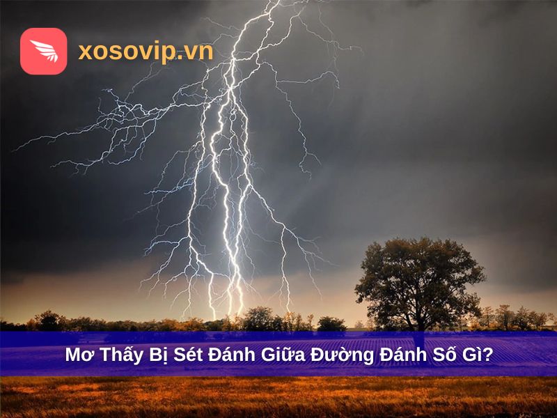 Mơ thấy bị s&eacute;t đ&aacute;nh tr&uacute;ng giữa đường