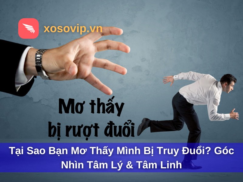 Tại sao bạn mơ thấy mình bị truy đuổi? góc nhìn tâm lý & tâm linh