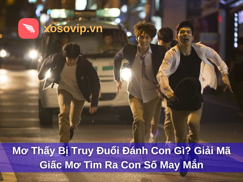 Mơ Thấy Bị Truy Đuổi Đánh Con Gì? Giải Mã Giấc Mơ Tìm Ra Con Số May Mắn