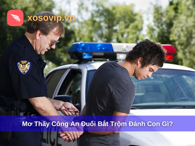 Chi&ecirc;m bao thấy c&ocirc;ng an đuổi bắt trộm