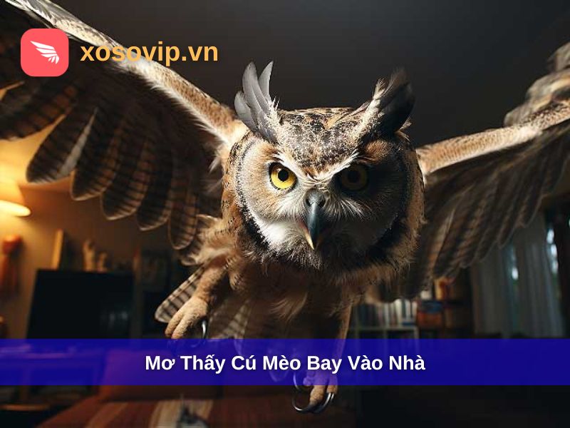 Mơ thấy c&uacute; m&egrave;o bay v&agrave;o nh&agrave;