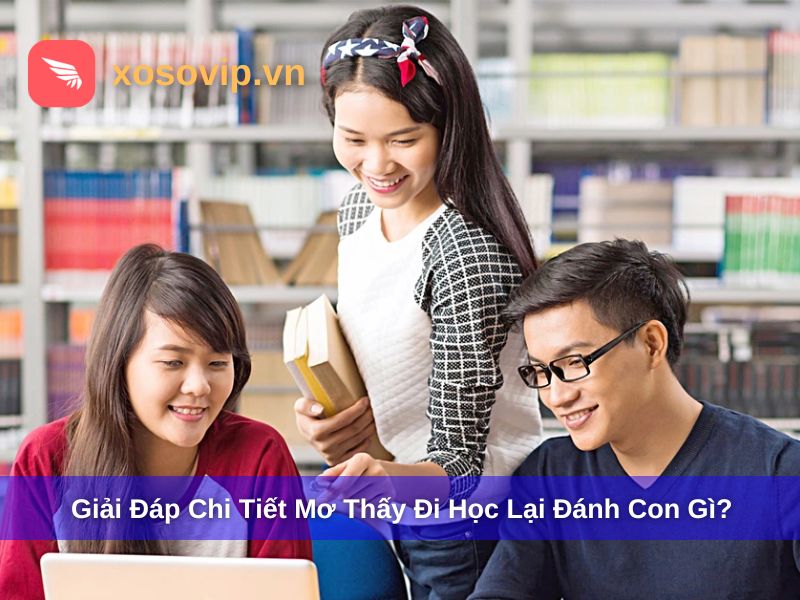 Giải mã chi tiết mơ thấy đi học lại đánh con gì