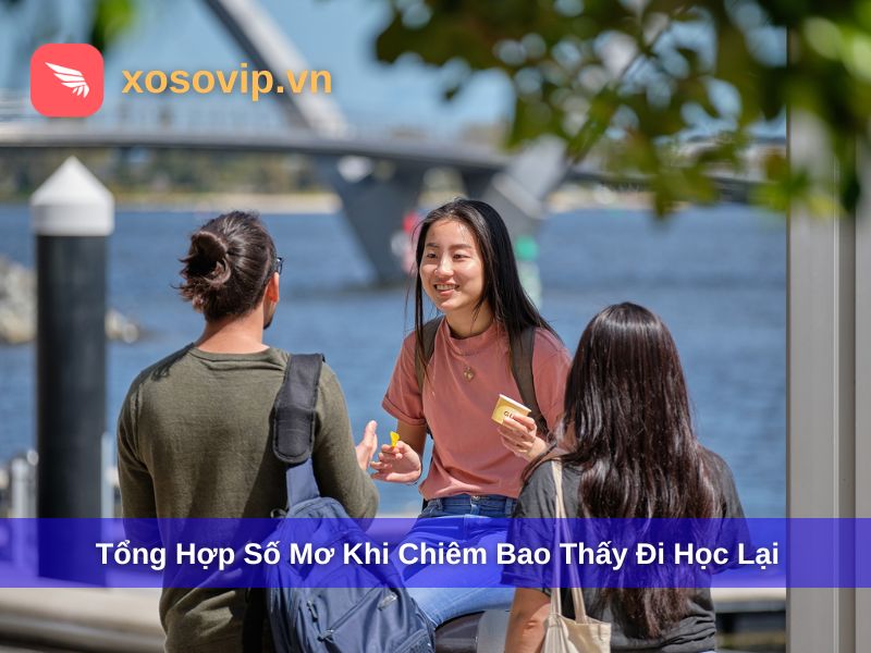 Tổng hợp số mơ khi chiêm bao thấy đi học lại