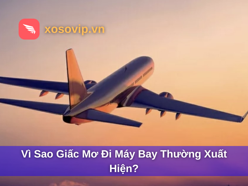 Vì sao giấc mơ đi máy bay thường xuất hiện?