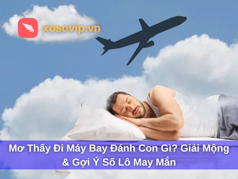 Mơ Thấy Đi Máy Bay Đánh Con Gì? Giải Mộng & Gợi Ý Số Lô May Mắn