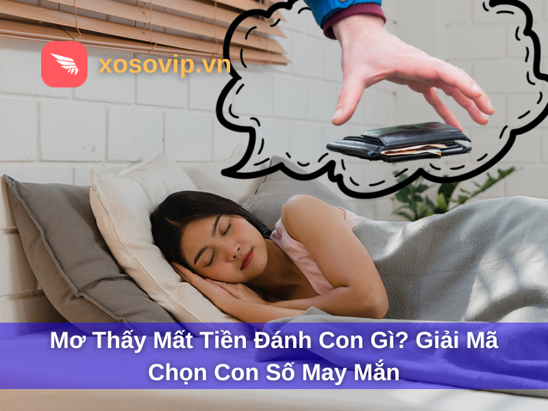 Mơ Thấy Mất Tiền Đánh Con Gì? Giải Mã Chọn Con Số May Mắn
