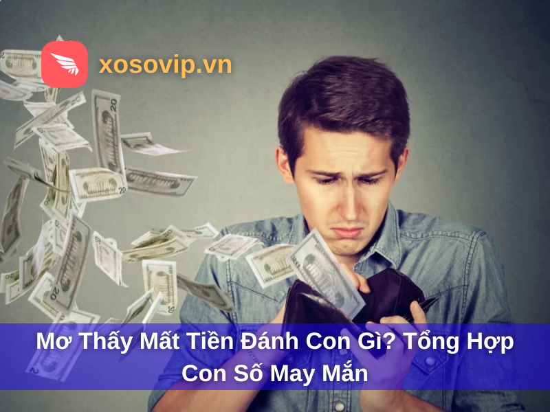 Mơ thấy mất tiền đánh con gì? Tổng hợp con số may mắn