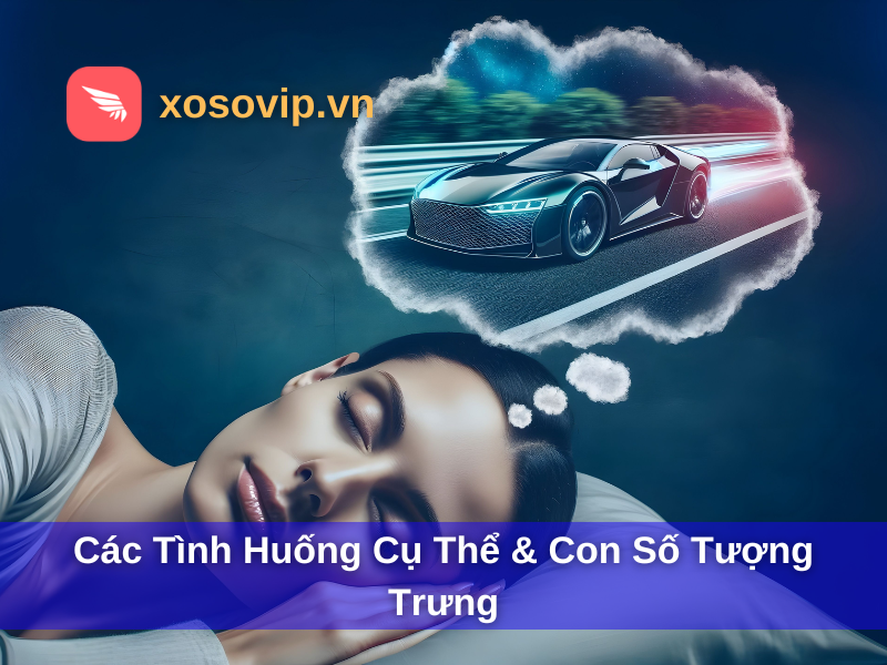 Các tình huống cụ thể & con số tượng trưng
