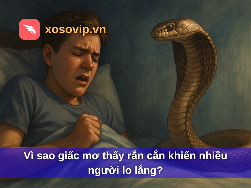 Vì sao giấc mơ thấy rắn cắn khiến nhiều người lo lắng?