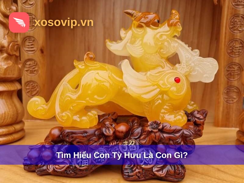 T&igrave;m hiểu con tỳ hưu l&agrave; con g&igrave;?
