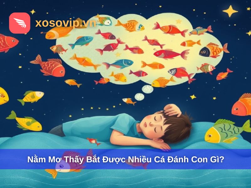 Giải Mã Nằm Mơ Thấy Bắt Được Nhiều Cá Đánh Con Gì May Mắn