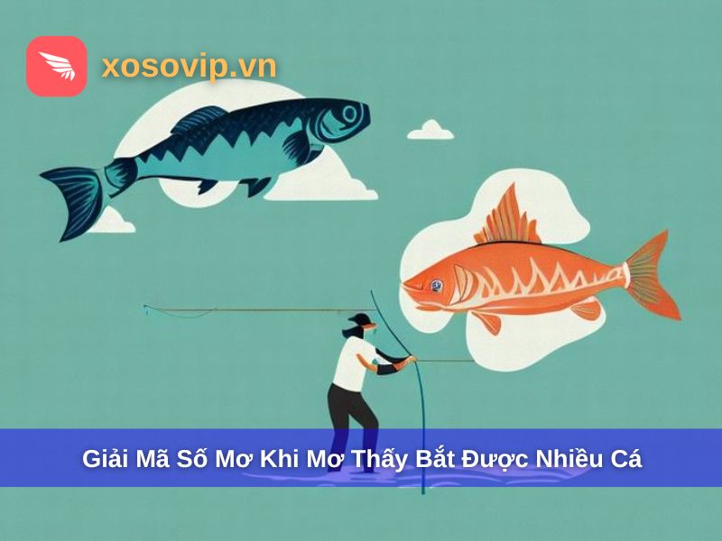 Tổng hợp số mơ khi nằm mơ thấy bắt được nhiều cá