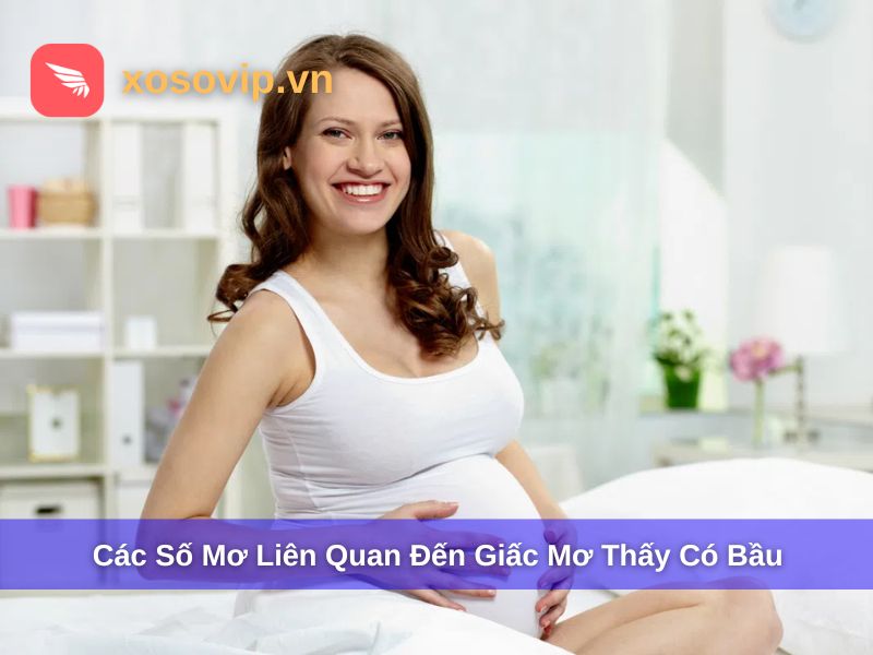 Tổng hợp số mơ liên quan đến giấc mơ thấy có bầu