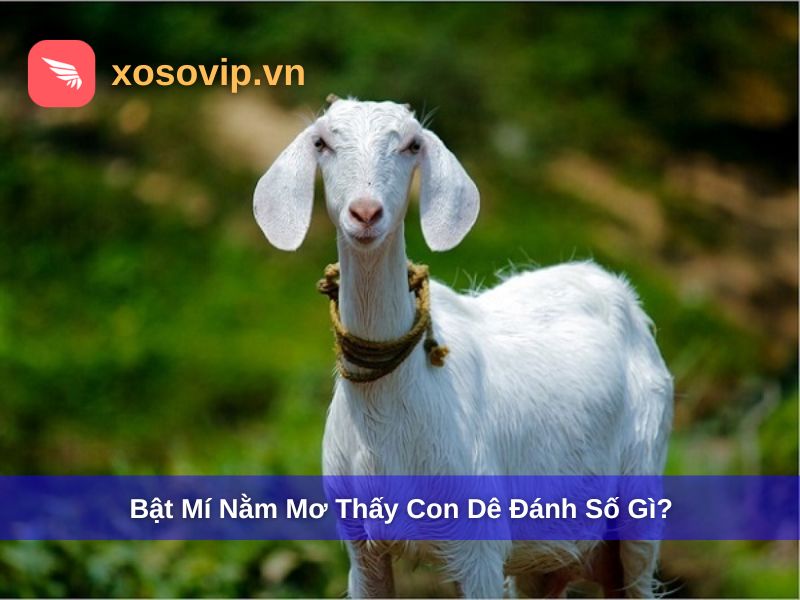 Nằm mơ thấy con dê đánh số gì may mắn?