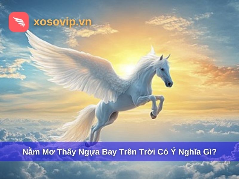 Nằm Mơ Thấy Ngựa Bay Trên Trời Là Điềm Gì? Đánh Con Gì?