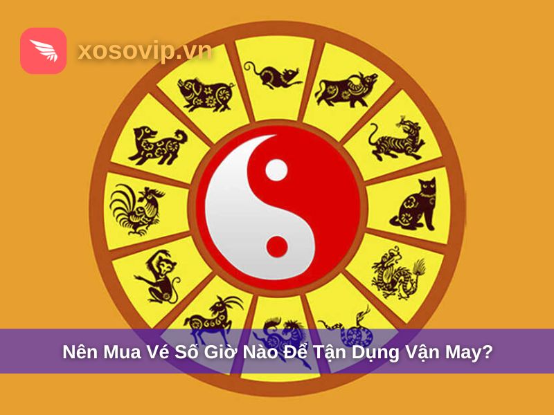 Nên Mua Vé Số Giờ Nào Dễ Trúng? Giờ Vàng Mua Vé Số Hôm Nay