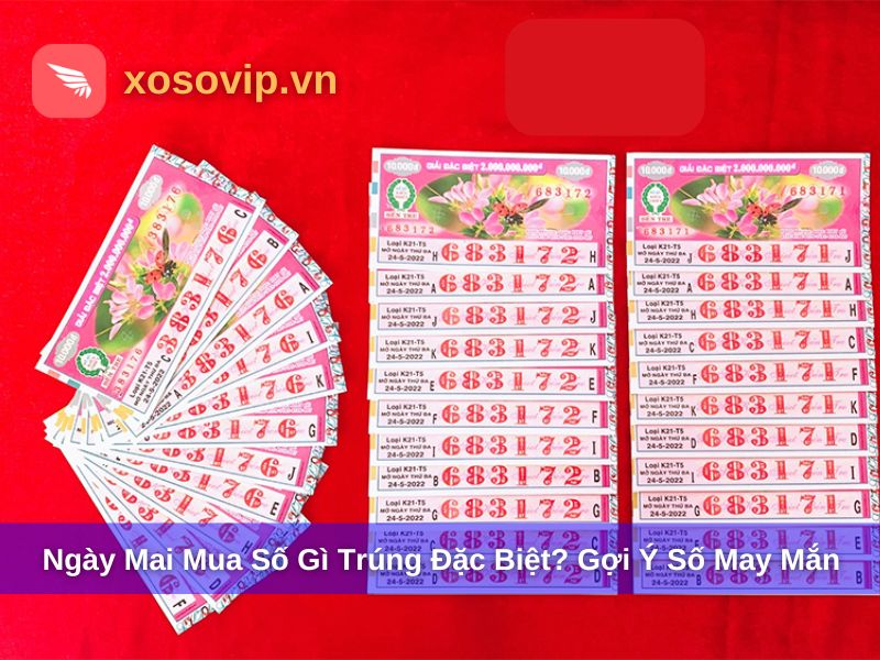 Ngày mai mua số gì trúng đặc biệt?