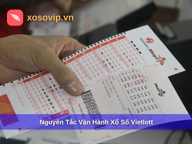 Tìm Hiểu Nguyên Tắc Xổ Số Vietlott Dành Cho Người Mới
