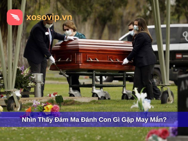 Nhìn Thấy Đám Ma Đánh Con Gì? Giải Đáp Chuẩn Nhất 2025